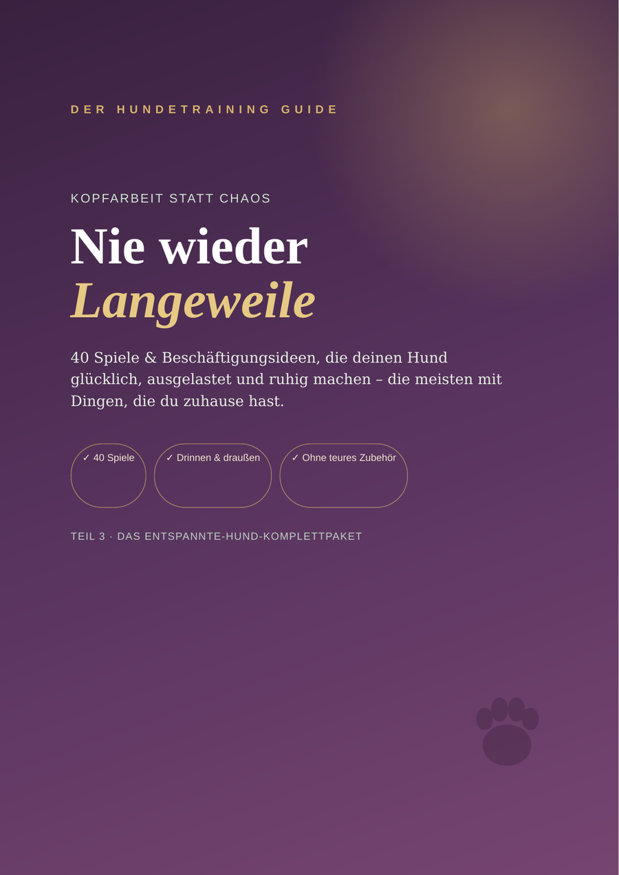 Nie wieder Langeweile – 40 Hunde-Spiele gegen Unterforderung | eBook